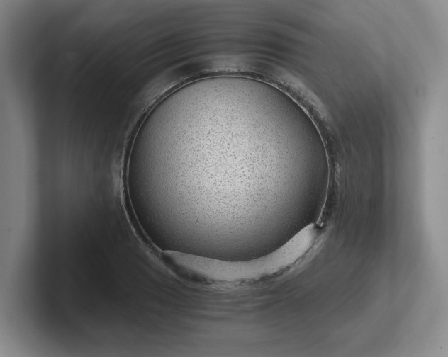 X0000102481033200808151445