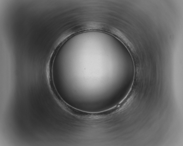 X0000102481034200808151445