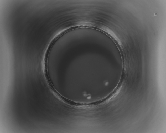 X0000102481037200808151445