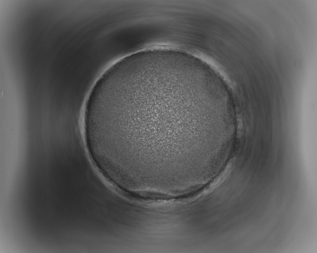 X0000102481038200808151445