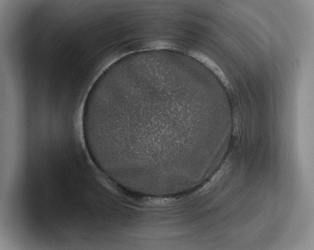 X0000102481039200808151445