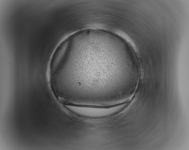 X0000102481040200808151445