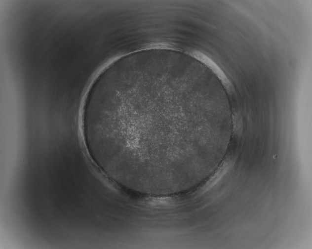 X0000102481043200808151446