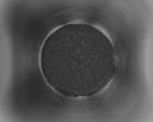 X0000102481045200808151446