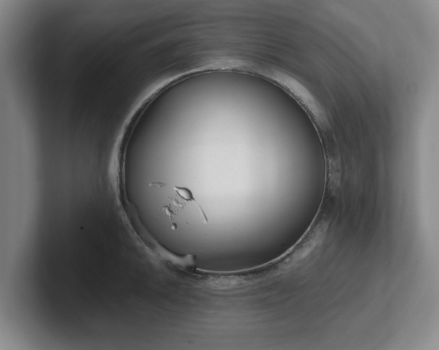 X0000102481046200808151446