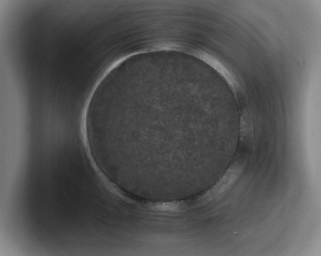 X0000102481047200808151446