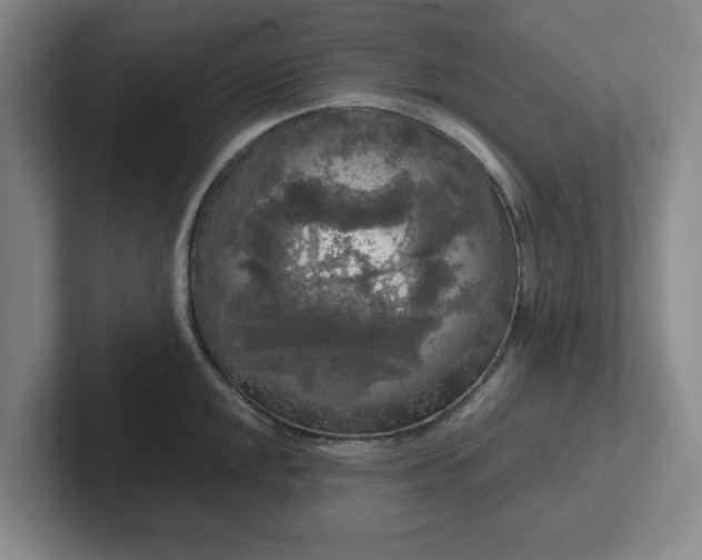 X0000102481048200808151446