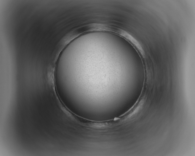 X0000102481049200808151446