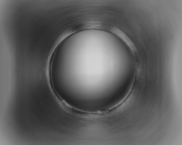 X0000102481050200808151446