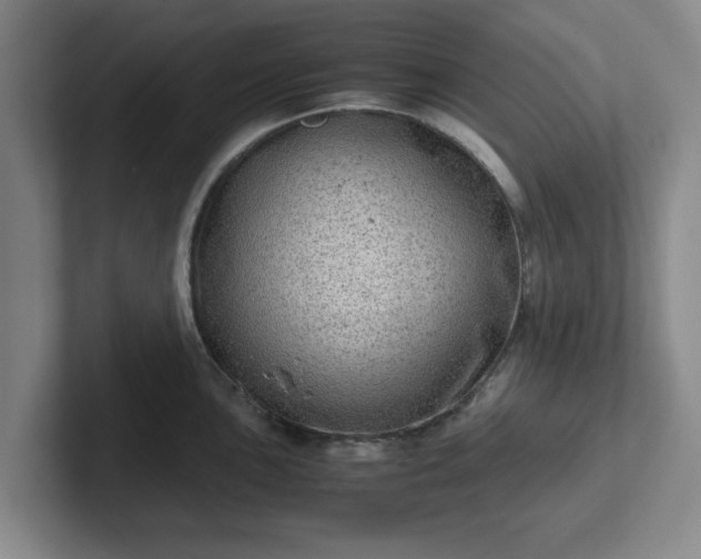 X0000102481051200808151446