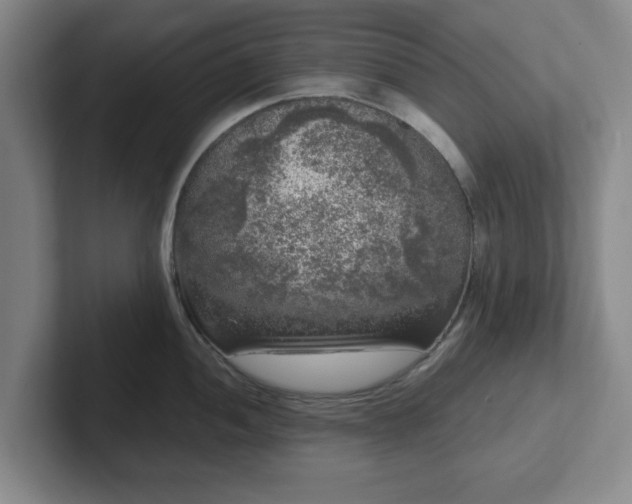 X0000102481052200808151446