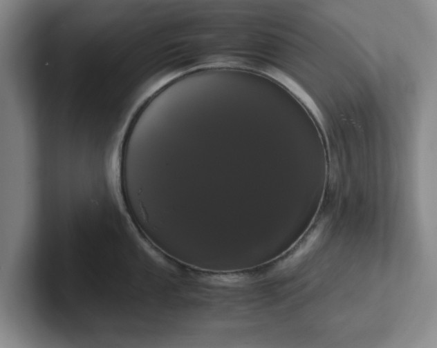 X0000102481053200808151446