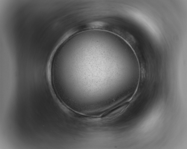 X0000102481054200808151446