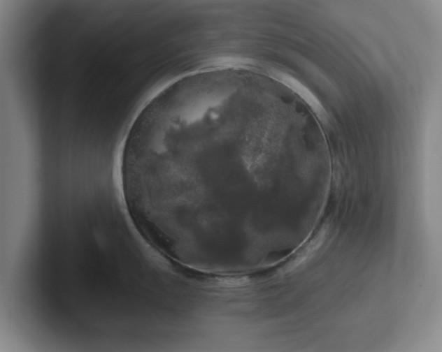 X0000102481055200808151446