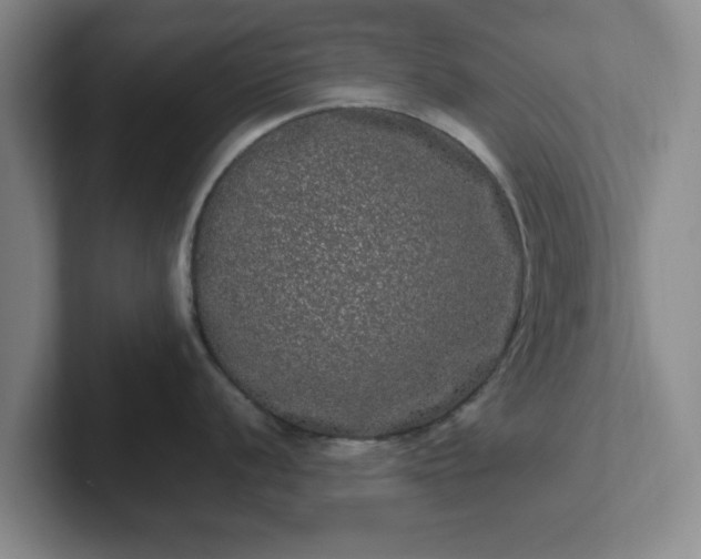 X0000102481056200808151446