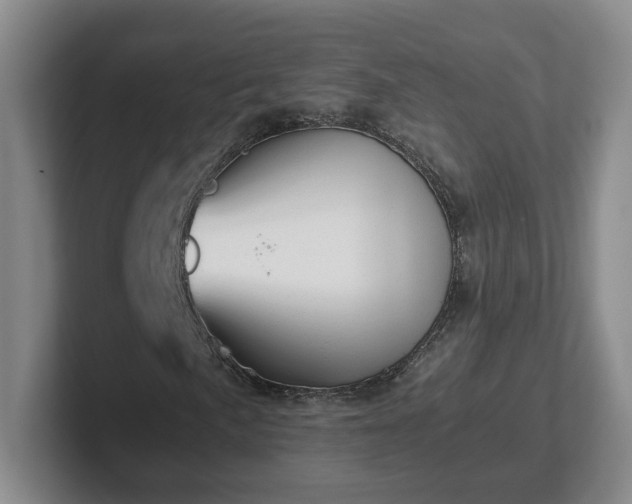 X0000102481057200808151445