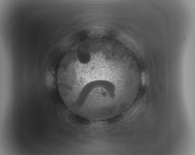 X0000102481059200808151445