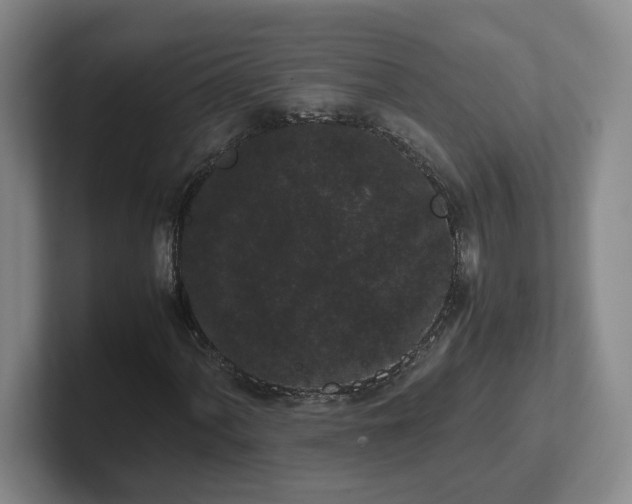 X0000102481060200808151445