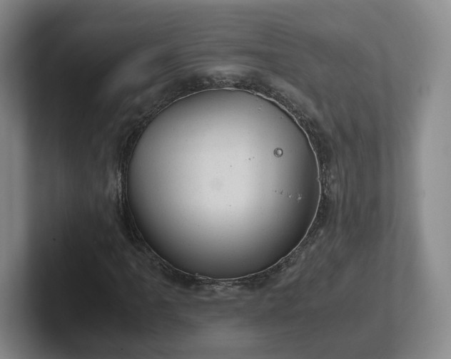 X0000102481061200808151445