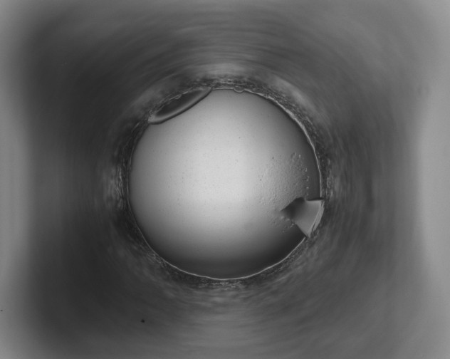 X0000102481062200808151445