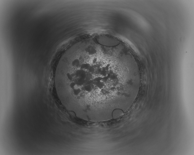 X0000102481063200808151445