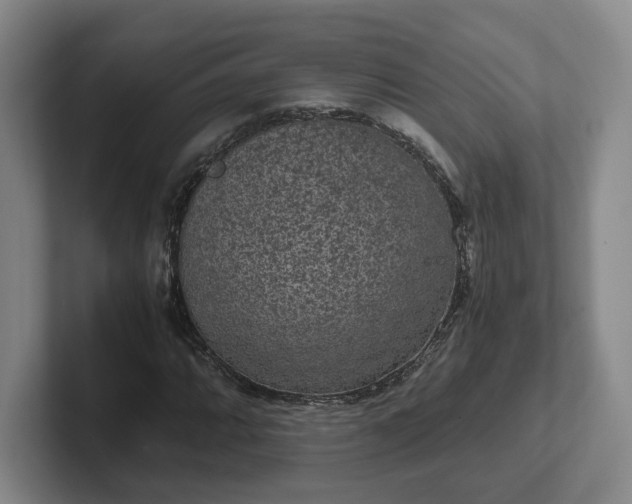 X0000102481064200808151445