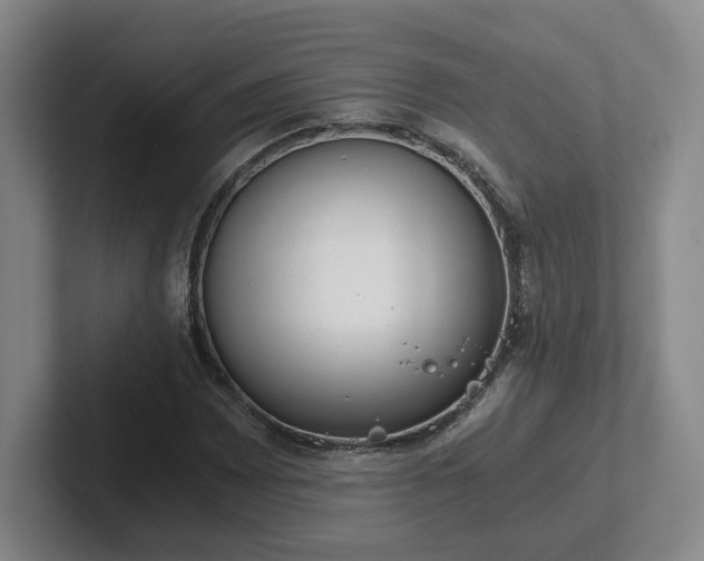 X0000102481065200808151445