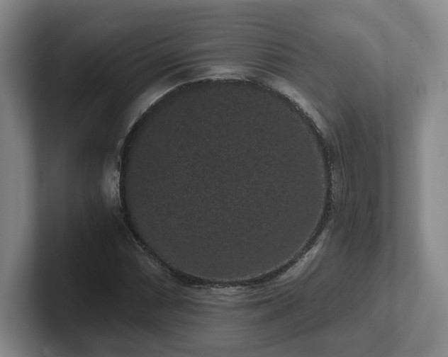 X0000102481066200808151445