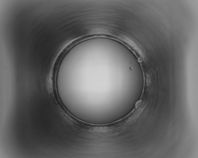 X0000102481068200808151445