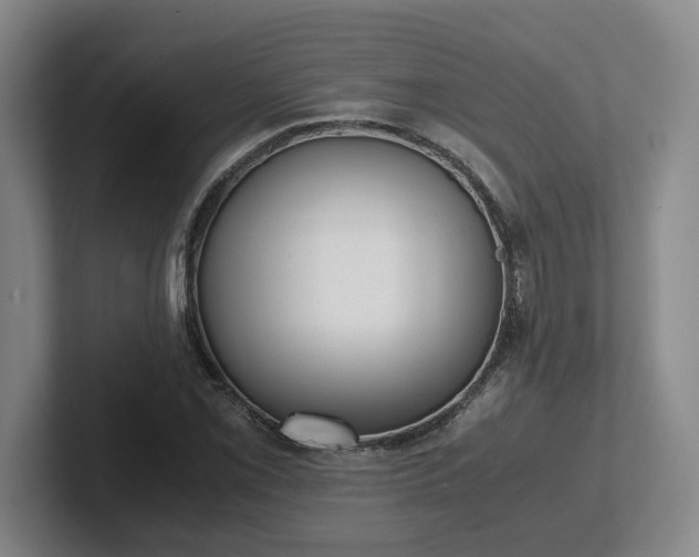 X0000102481069200808151445