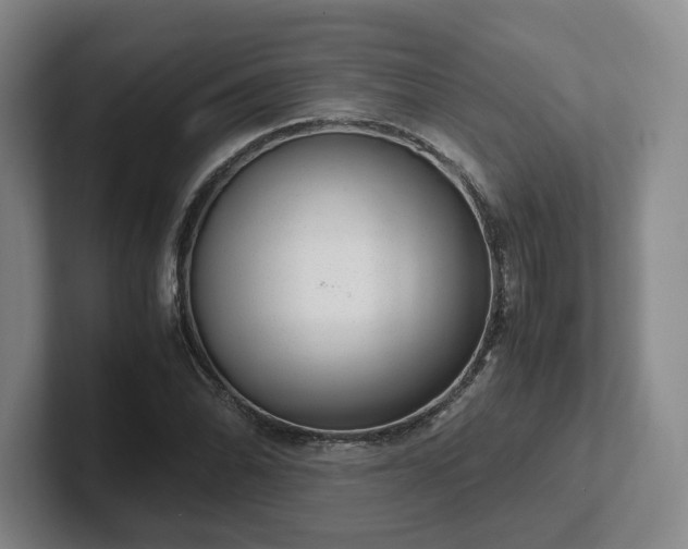 X0000102481070200808151445