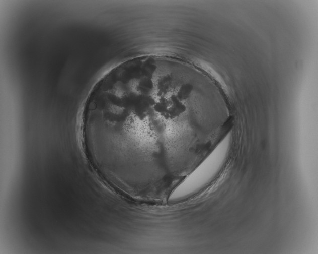 X0000102481071200808151445