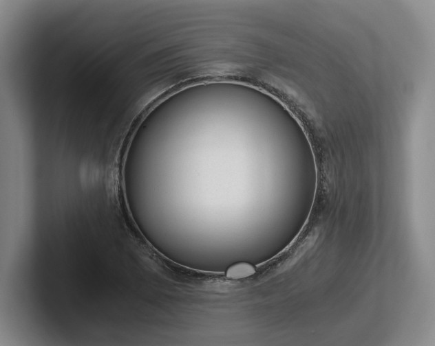 X0000102481073200808151445