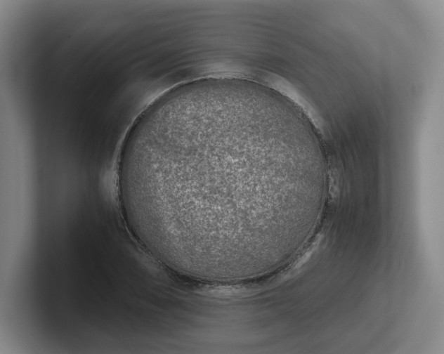 X0000102481074200808151445