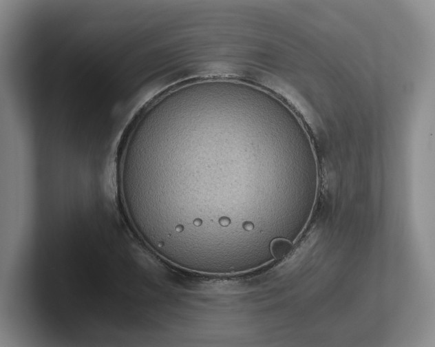 X0000102481075200808151445