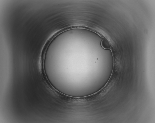 X0000102481076200808151445