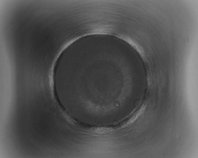 X0000102481077200808151445