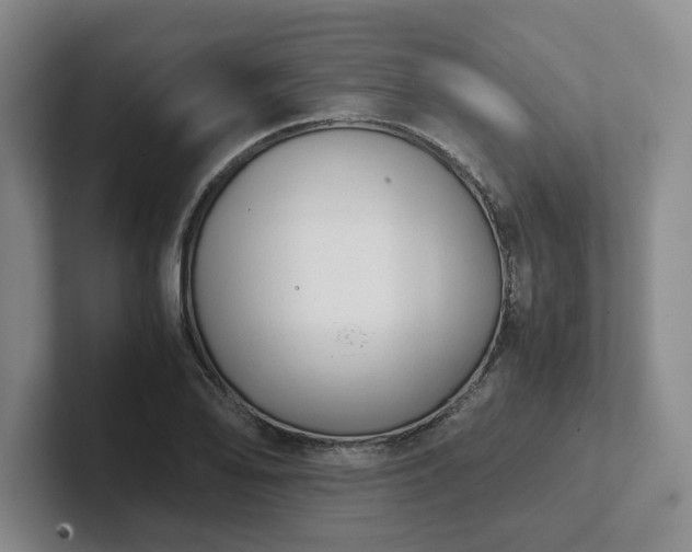 X0000102481078200808151445