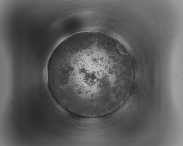 X0000102481079200808151445