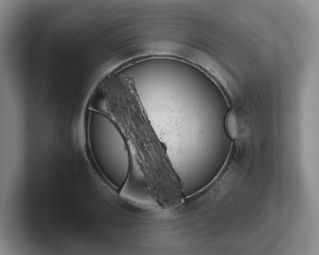 X0000102481080200808151445