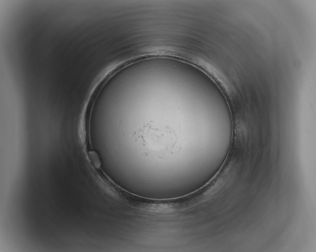 X0000102481082200808151445