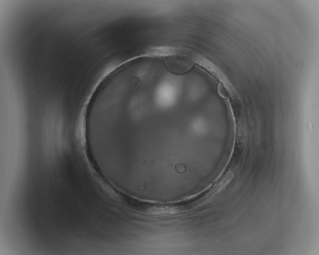 X0000102481083200808151445