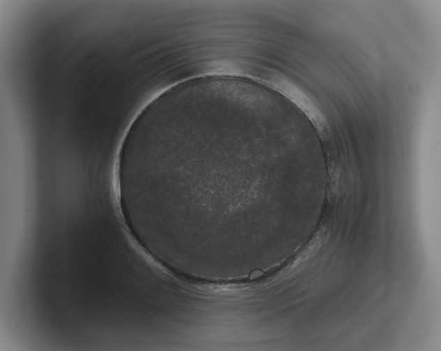 X0000102481084200808151445