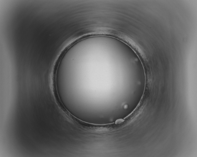 X0000102481085200808151445