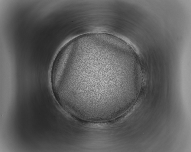 X0000102481086200808151445