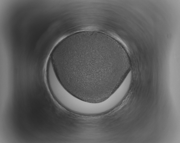 X0000102481087200808151445