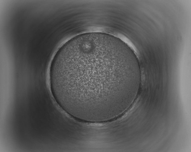 X0000102481088200808151445