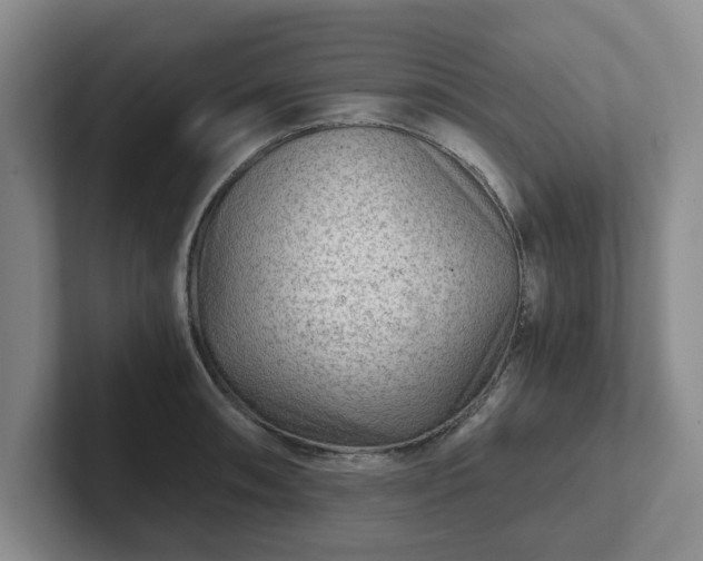 X0000102481090200808151445