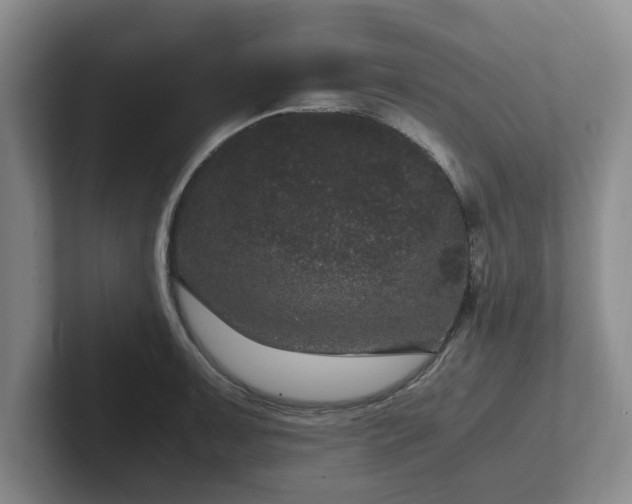 X0000102481091200808151445