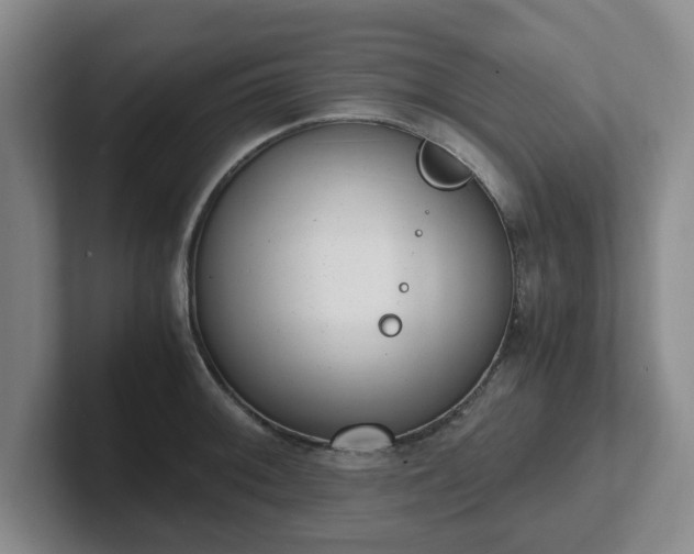 X0000102481092200808151445